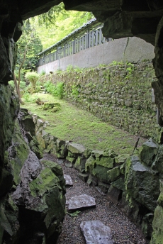 The tunnel of Ignorance - Japanese Gardens - The Irish National Stud - Kildare